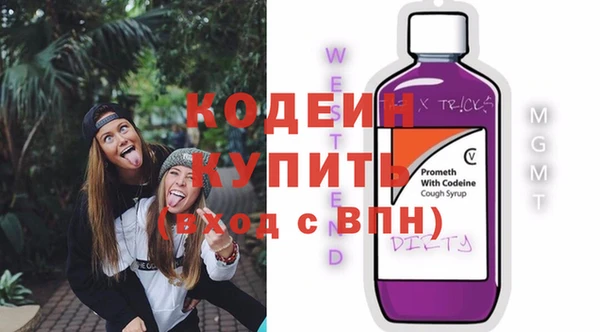дживик Верхний Тагил