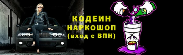 дживик Верхний Тагил