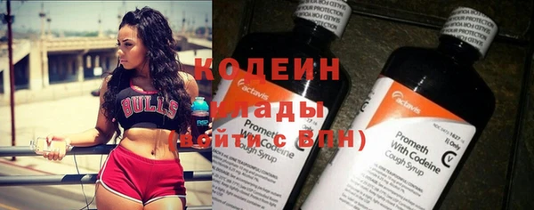 дживик Верхний Тагил