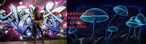 ECSTASY Верея
